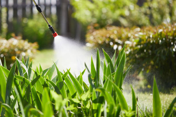 24/7 Emergency Mosquito Control experts in Strawberry Point, IA