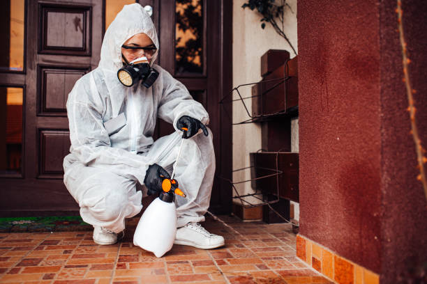 Reliable Mosquito Control contractor in Strawberry Point, IA by Show Me Pest Control